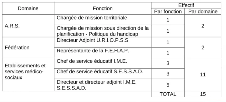 Tableau 1 : Répartition des professionnels interrogés 