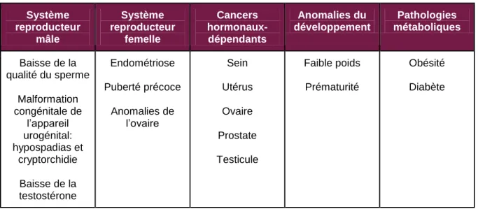 Tableau  1:  Pathologies  liées  à  une  exposition  aux  perturbateurs  endocriniens  pendant  les  périodes  de  vulnérabilité (Source : INRS, 2016) 