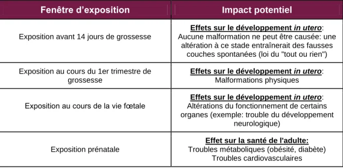 Tableau 2: Fenêtres d’exposition et des impacts potentiels (Source: Béranger R., 2017): 