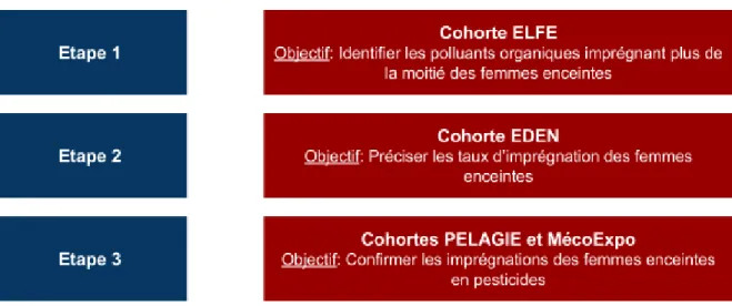 Figure 9: Exploitation des résultats des cohortes 