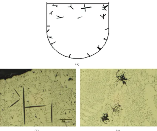 Figure 2: Schematic section of the samples showing the location of primary graphite lamellae (a) and optical micrograph at the top (b) and middle (c) of the vertical section of the reference 10F2 sample