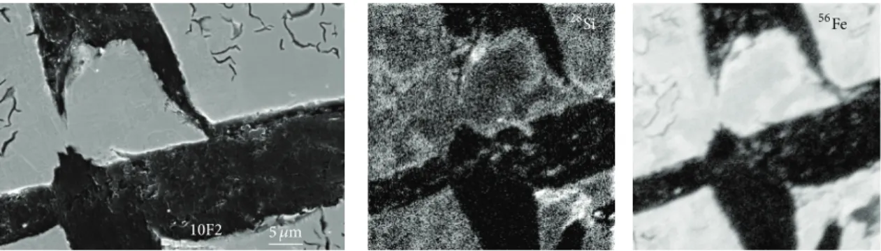 Figure 5: SEM micrograph of a perturbed graphite junction and related Fe and Si SIMS maps (logarithmic scale) in the reference 10F2 alloy.