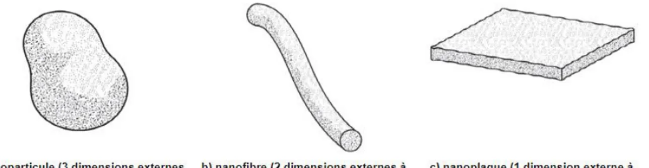 Figure 2 [8]  :  Les trois principales formes de nano-objets 