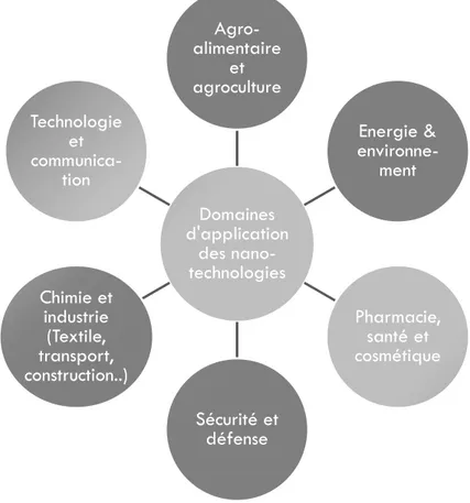 Figure 5 : Différents domaines d’application des nanomatériaux  
