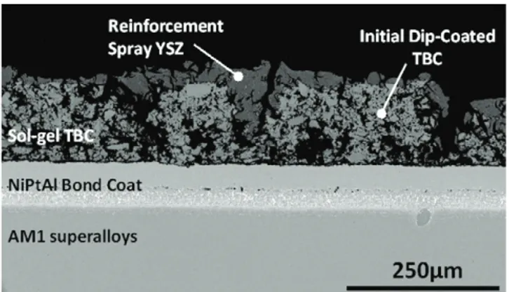 Fig. 1. SEM cross-section micrograph of a sol–gel thermal barrier coating.