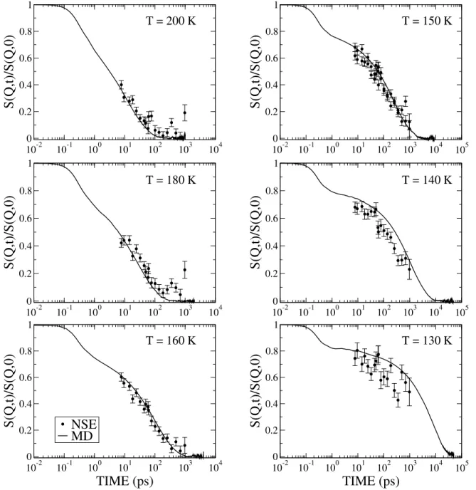 Fig. 1.11 – Fonctions de corr´ elation des dynamiques collectives S(Q, t)/S(Q, t = 0) ` a Q = 1.54 ˚A −1 obtenues par NSE et par simulation MD ` a diff´ erentes temp´ eratures.