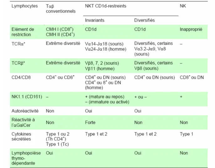 Tableau 2 :  Les lymphocytes iNKT et non-iNKT partagent des caractéristiques à la  fois avec les lymphocytes Tαβ conventionnels et les cellules NK mais font aussi  preuve d’une grande originalité 