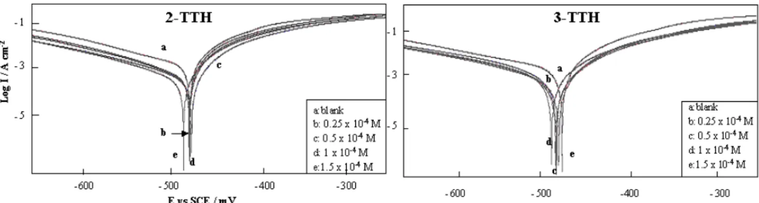 Figure 1.23. Courbes de polarisation de l’acier dans H 2 SO 4  0,5M contenant différentes  concentrations de n-TTH