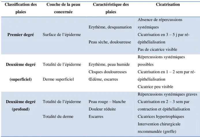 Tableau 1 : Classification des brûlures cutanées selon leur profondeur 