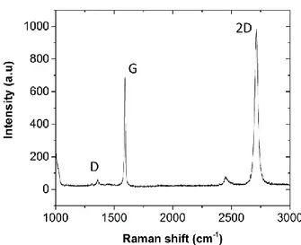 Figure 23: Raman spectra of the 3DC foam 