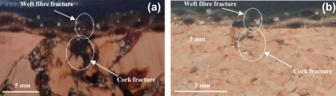 Fig. 17 shows the post-indentation damage on sandwich panels.