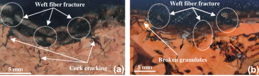 Fig. 13. Comparison of the force–indentor displacement curves for the indentation and impact tests on the jute/epoxy-cork sandwich laminates.