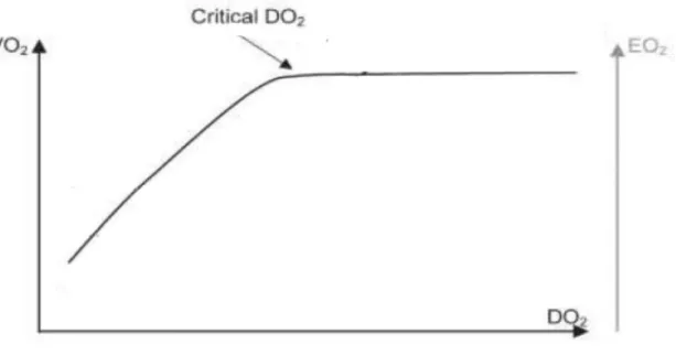 Figure 10 : Variations physio-pathologiques de la relation V02/DO2. [31] 	  