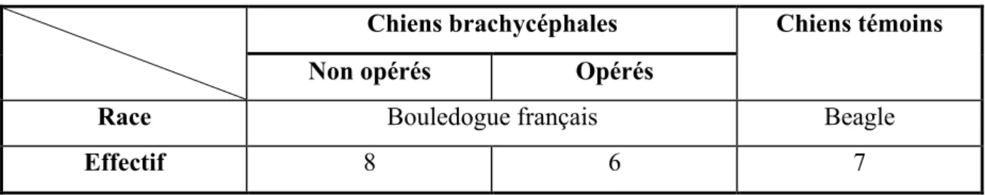 Tableau	
  1	
  :	
  Description	
  de	
  la	
  population	
  des	
  chiens	
  de	
  l'étude 