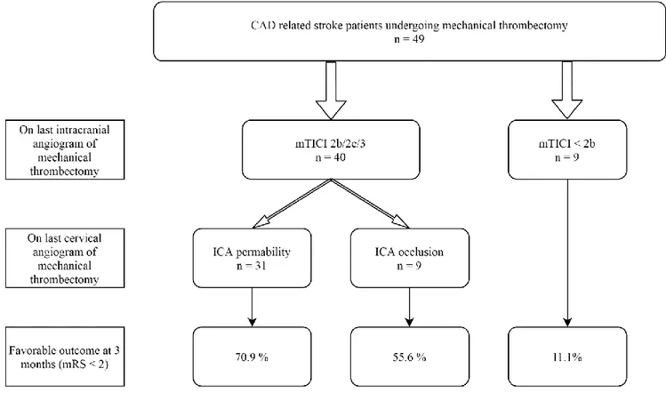 Figure  2.  Impact  of  MCA  and  ICA  permeability  at  the  end  of  mechanical  thrombectomy  in  carotid  artery  dissection  related  stroke  patients  treated  by  mechanical thrombectomy
