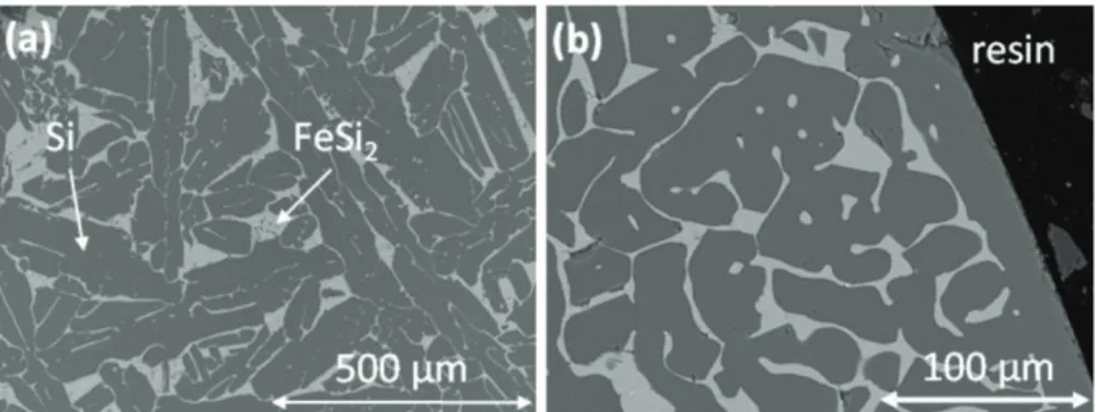 Fig. 2. SEM micrographs of the cross section of the Si–4.7 at% Fe anode: (a) bulk; (b) external surface (light grey: FeSi 2 ; dark grey: Si).