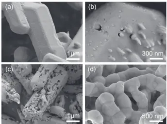 Figure 1. Different morphologies of silver oxalate particles: LE21 sample prepared in butanol (a) and LE09 prepared in ethyl alcohol (b).