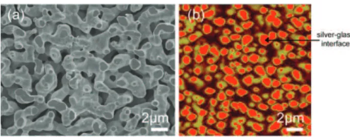 Figure 3. SEM (a) and AFM (30  30 lm 2 ) images showing the surface of a silver solder after removal of the glass slide positioned on its top