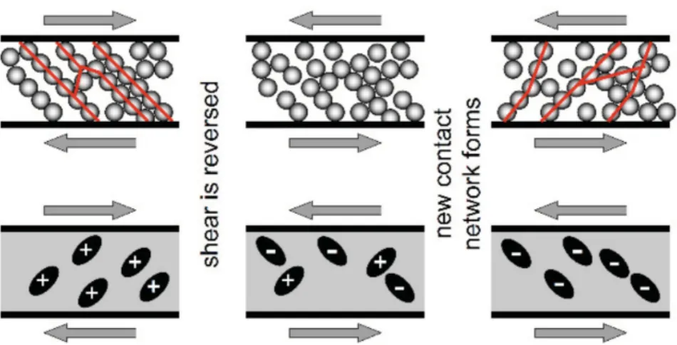 Figure 2. Schematic of shear-reversal experiments. The breaking and reforming of a contact network through shear reversal in dry granular matter is illustrated schematically