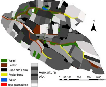 Fig. 3 (b) and (c) illustrates the impact of the strips’ imple- imple-mentation on the saturated zone for respectively the rye-grass and the poplar