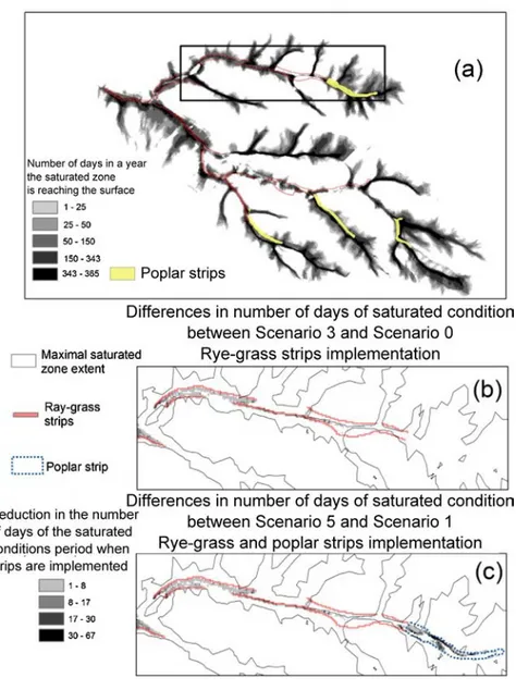 Fig. 3. Saturated area extent simulated with TNT2 for the Scenario 0 (a) expressed in days per year