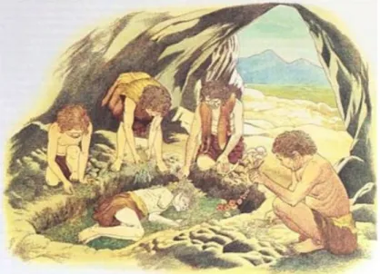 Figure 1 : Sépulture collective à Shanidar (5) 