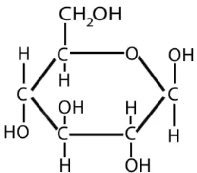 Illustration 1 : Molécule de glucose (en projection de Haworth)