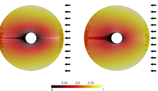 Figure 5: Streamlines obtained from the averaged velocity field. Color field by velocity divided by
