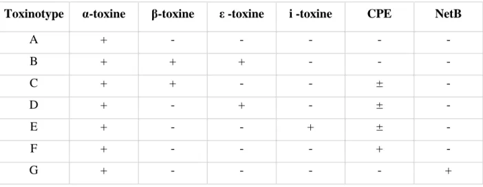 Tableau 3. Typage de Clostridium perfringens en fonction des toxines produites (Rood et al.,  2018)