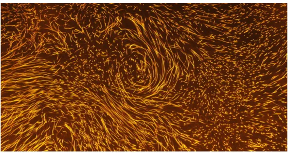 Figure 2.1: Visualization of turbulence by seeding the flow by 10 micron flu- flu-orescent polystyrene particles in a turbulent flow experiment (von Karman).