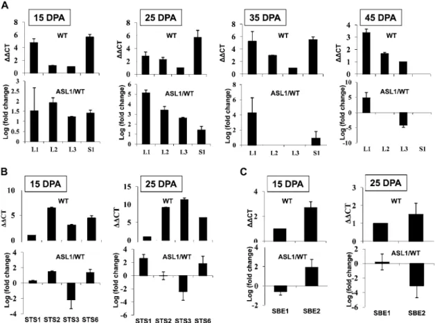 Figure 6. Expression profile of SlAGPase genes in wild-type and ASL1 tomato fruits. The levels of transcripts were assessed in tomato fruit by qPCR at 15, 25, 35, and 45 DPA for (A) SlAGPaseL1 (L1), SlAGPaseL2 (L2), SlAGPaseL3 (L3), and SlAGPaseS ( S1); at