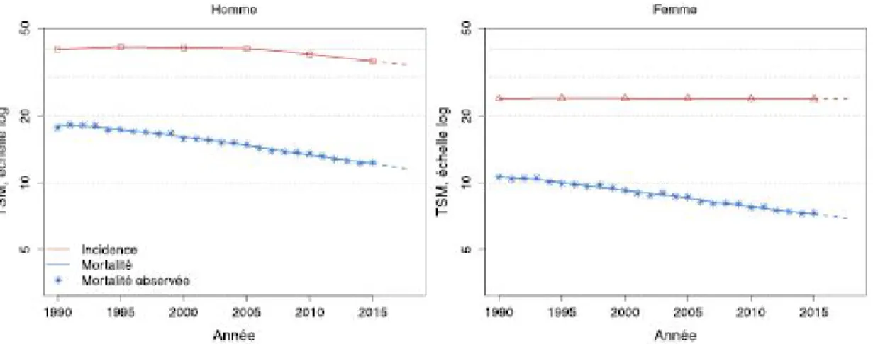 Figure 5 : Taux d’incidence et de mortalité du cancer colorectal en   France métropolitaine selon l’année