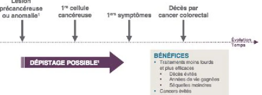 Figure 30: Optimisation des chances du patient par le Programme  de dépistage organisé du cancer colorectal [65] 