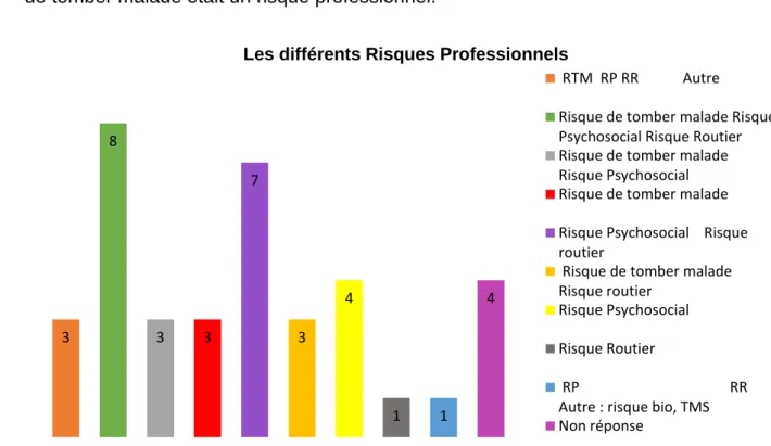 Graphique 4 : Les différents Risques Professionnels 