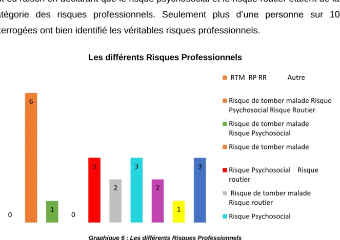 Graphique 6 : Les différents Risques Professionnels 