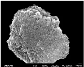 Fig. 3. SEM cross-section of YSZ sol–gel coating.