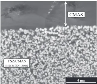 Fig. 8. SEM micrograph of the fracture surface of YSZ sol–gel pellet exposed to CMAS at 1250 °C for 15 min