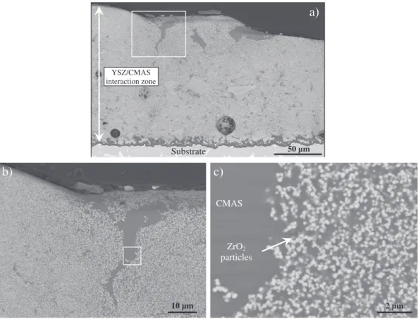 Fig. 14. SEM cross-section of YSZ coating exposed to CMAS at 1250 °C for 1 h (a) and higher magniﬁcations of the CMAS/YSZ interaction zone (b and c).