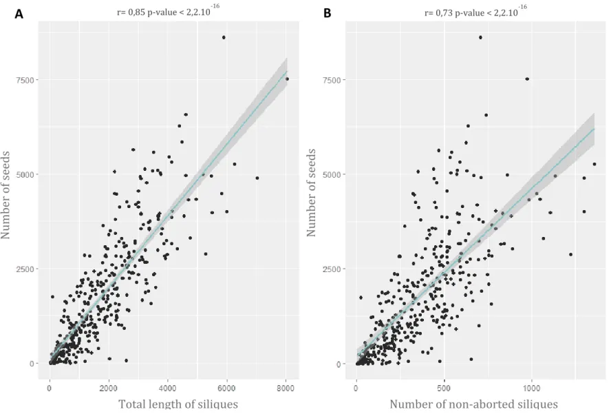 Figure S2:  Number of seeds according to (A) the total length of siliques and (B) the number of non-aborted siliques