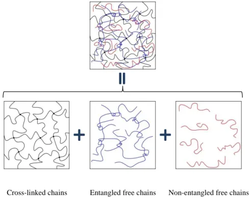 Figure 2.2.1. Decomposition of the rubber network into three superimposed chain  populations .