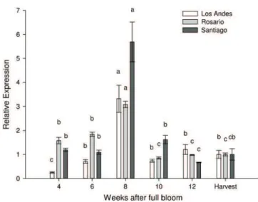 Fig. 5. Gene expression analysis for VvACO1 during berry development of “Thomp- “Thomp-son Seedless” grapes from three different orchards