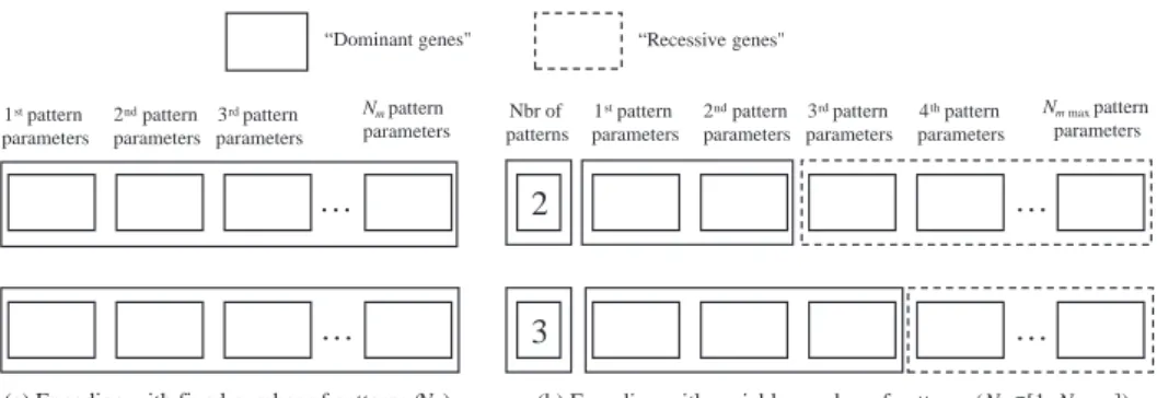 Figure 9. Individual genotype according to the chromosome encoding strategy (with ﬁxed or variable number of patterns).