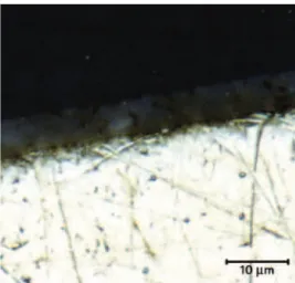 FIG. 3.1. Optical microscope images of EPD coatings after thermal posttreatment at 350 °C in air