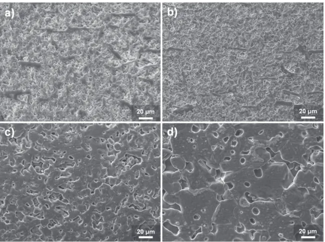 Fig. 1. SEM micrographs of (a) 1Fe0LP, (b) 2Fe0LP, (c) 5Fe0LP and (d) 10Fe0LP samples sintered at 1600 ◦ C for 2 h.