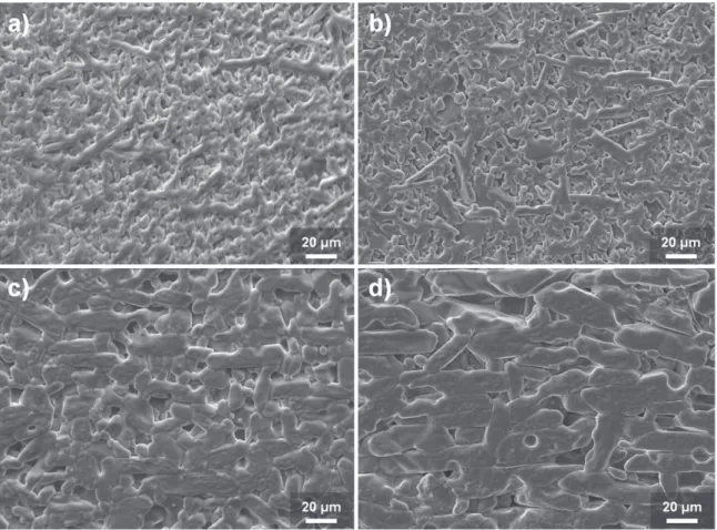 Fig. 2. SEM micrographs of (a) 1Fe1LP, (b) 2Fe1LP, (c) 5Fe1LP and (d) 10Fe1LP samples sintered at 1600 ◦ C for 2 h.