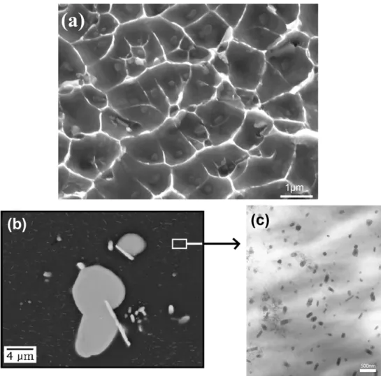 Fig. 4. (a) SEM observation of dimples in the hydrogen-affected external layer for a hydrogen loading of 48 h, (b) SEM observation of the intragranular coarse precipitates and (c) TEM observation of the intragranular ﬁne precipitates of AA2024-T351.