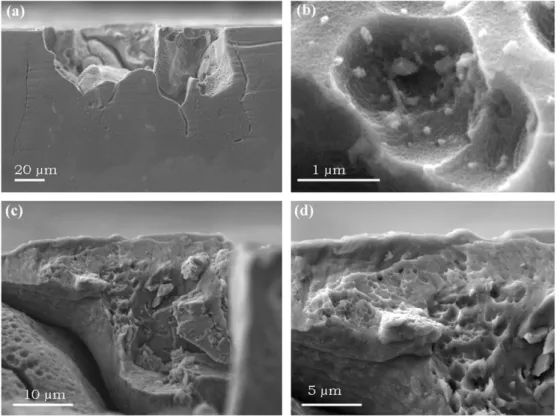 Fig. 7. SEM observations of a corrosion defect grown during LT testing: (a) a global view, (b) a magniﬁed image of the dimples, (c) the tearing zone and (d) a magniﬁed image of the tearing zone.