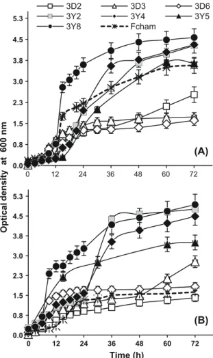 Fig. 1 Growth kinetics of seven out of eight S. cerevisiae mezcal strains plus the control fermichamp strains, assessed as the change in the optical density (at 600 nm) of the cultures in media