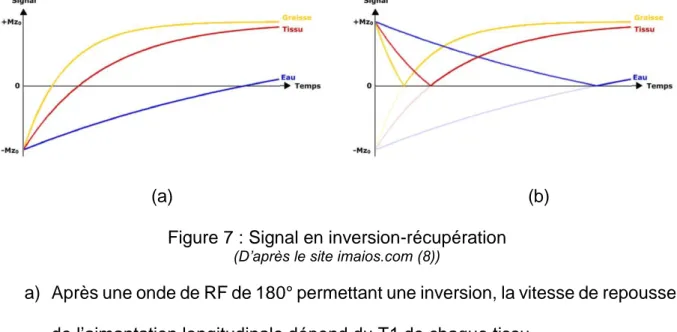Figure 8 : Suppression du signal en inversion-récupération 