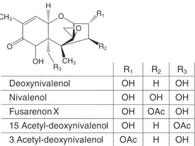 Fig. 1. Chemical structures of DON and NIV and their acetyl derivatives.